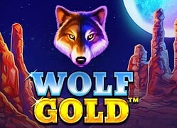 Wolf G Betzino Casino Game