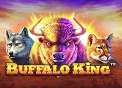 Buffalo King Betzino Casino Slot