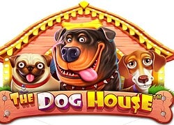 Dog House Betzino Casino Game